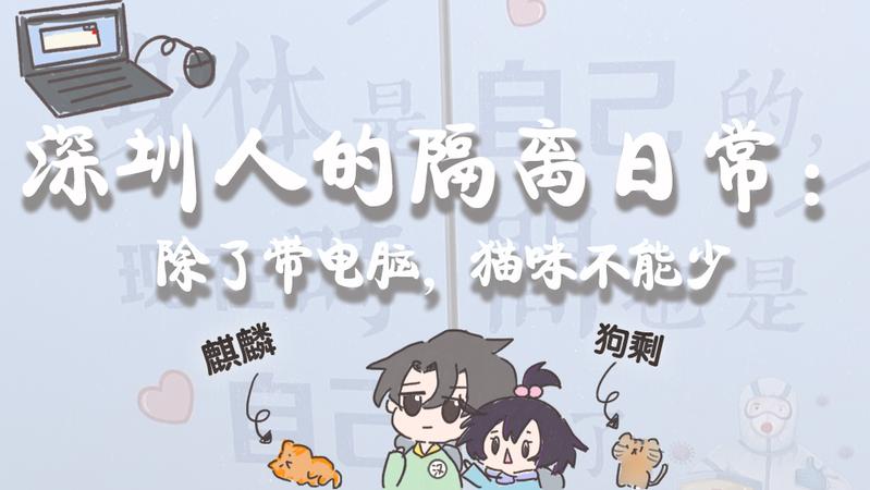 寵TA丨深圳人的隔離日常：除了帶電腦，貓咪不能少